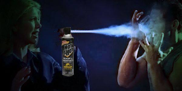 wasp-spray