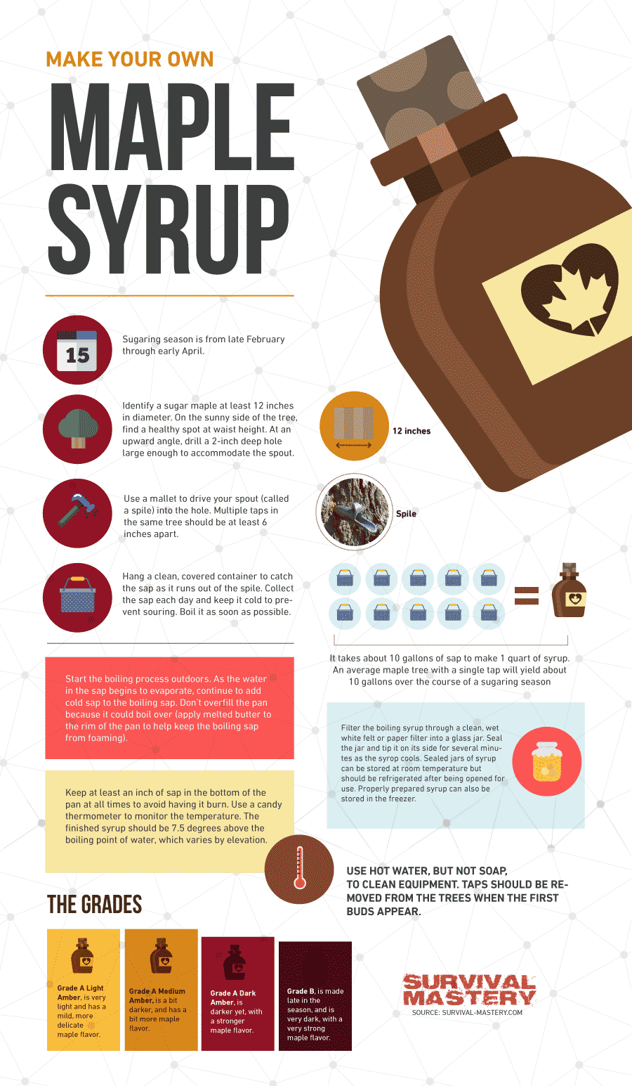 How To Make maple syrup infographic