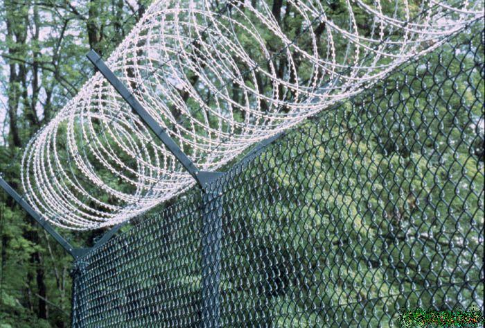 concertina wire