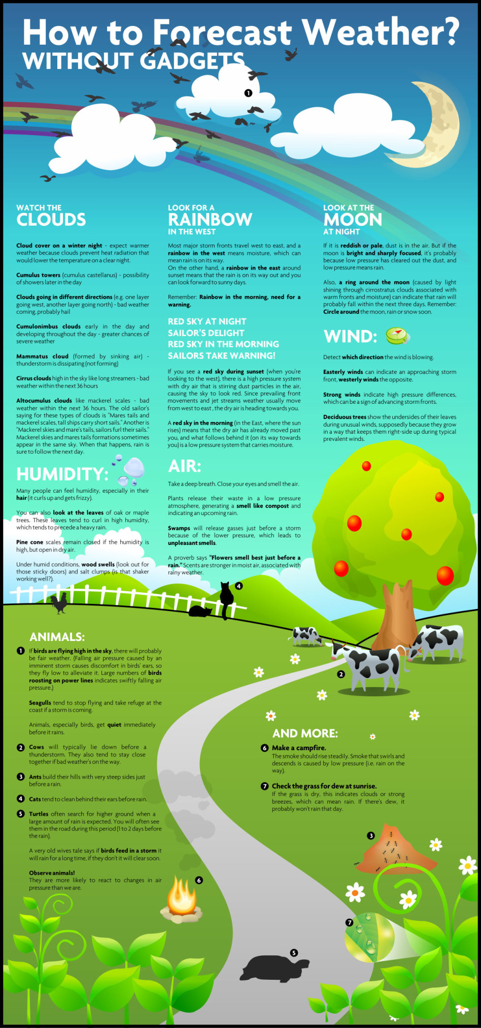 how-forecast-weather-without-gadgets